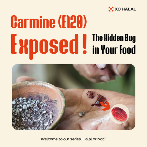 The Hidden Bug in Your Food: Carmine (E120) Exposed!